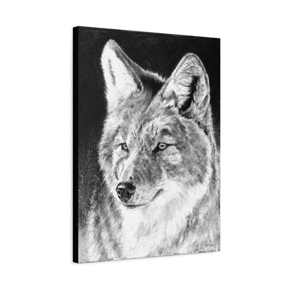"Coyote II" Stretched Canvas