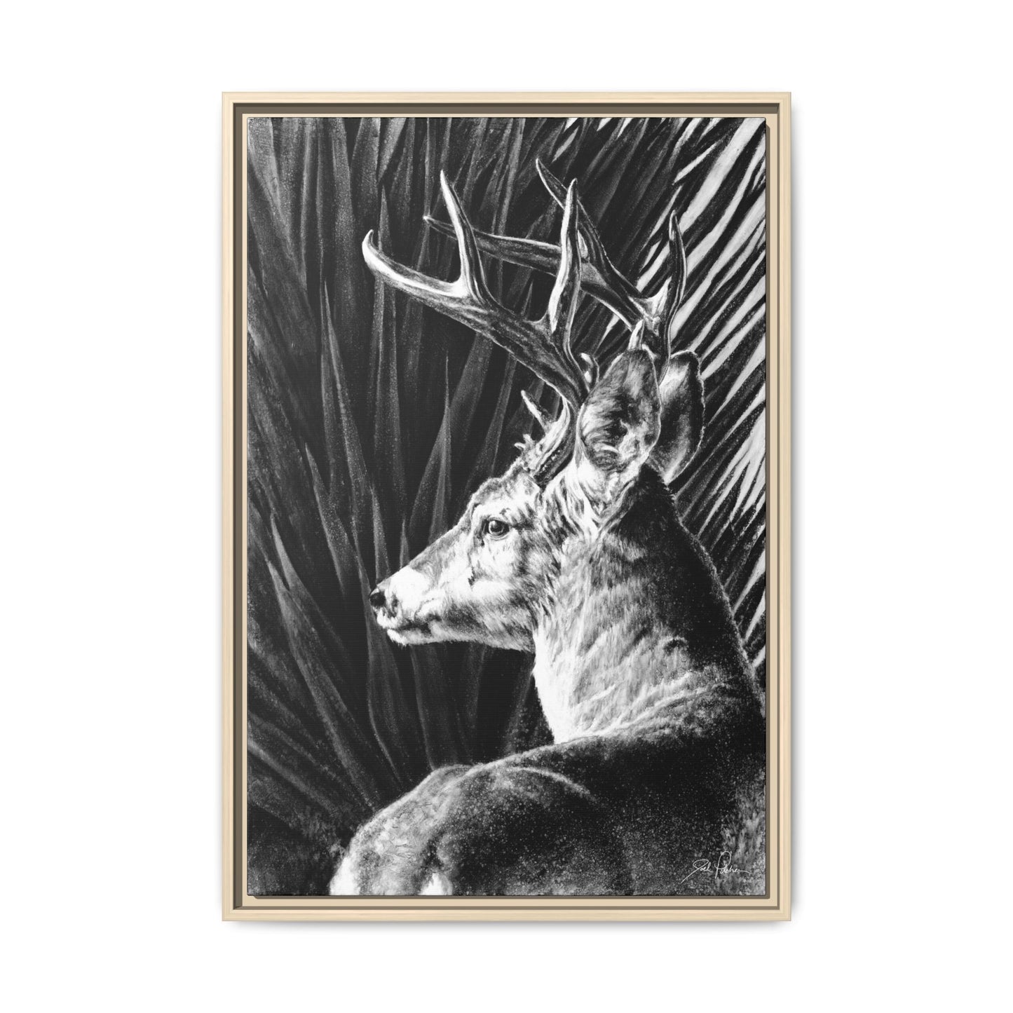 "Coues Buck" Framed Canvas
