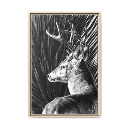 "Coues Buck" Framed Canvas