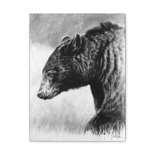 "Burly Bear" Gallery Wrapped Canvas