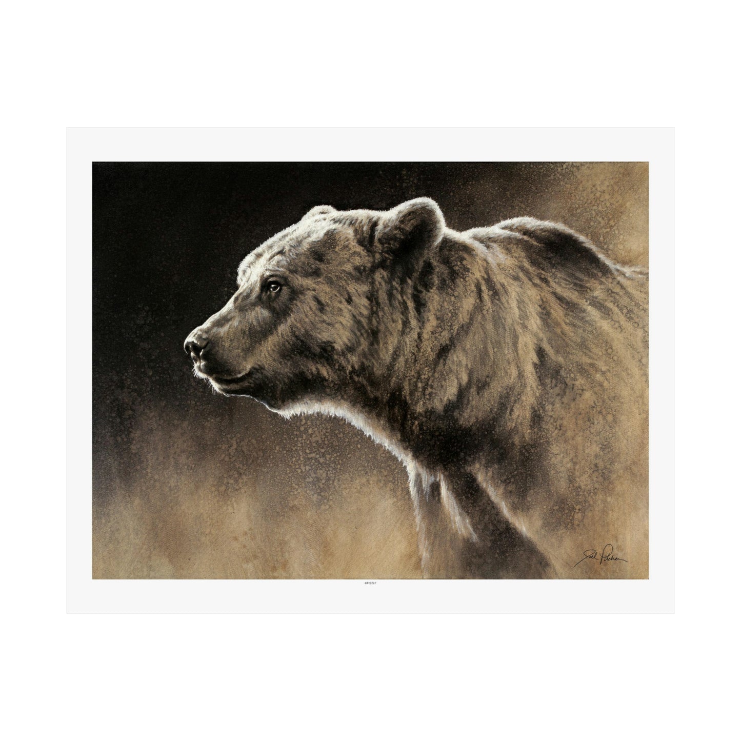 "Grizzly" Premium Matte Paper Print