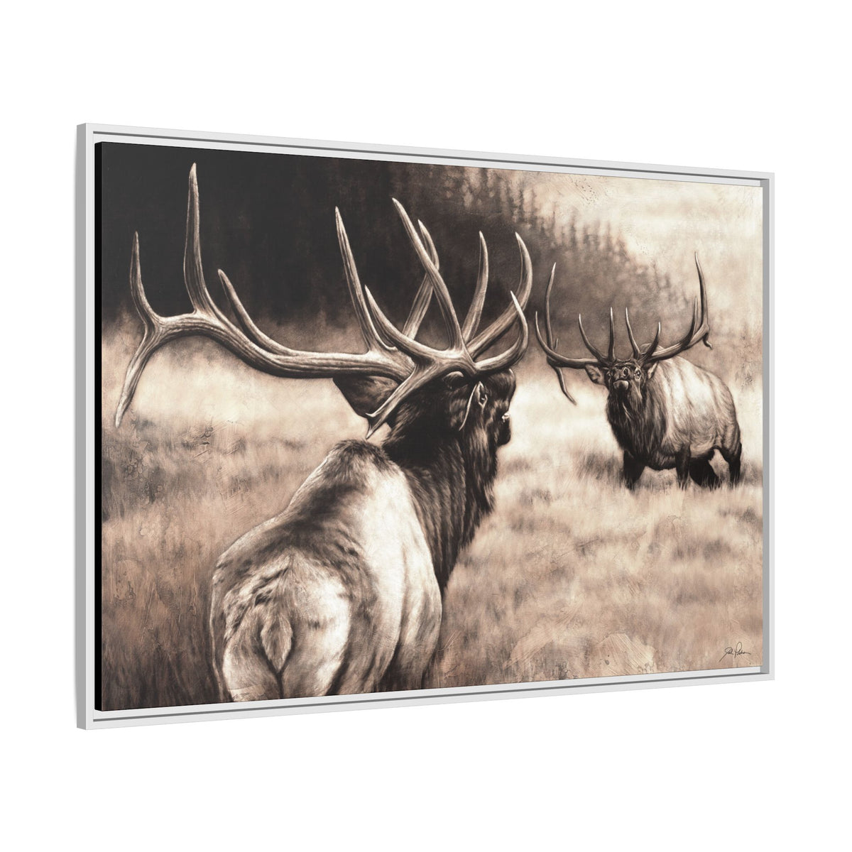"Ready to Rumble" Framed Canvas