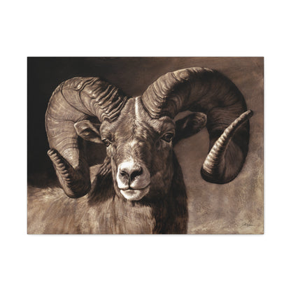 "Full Curl" Stretched Canvas