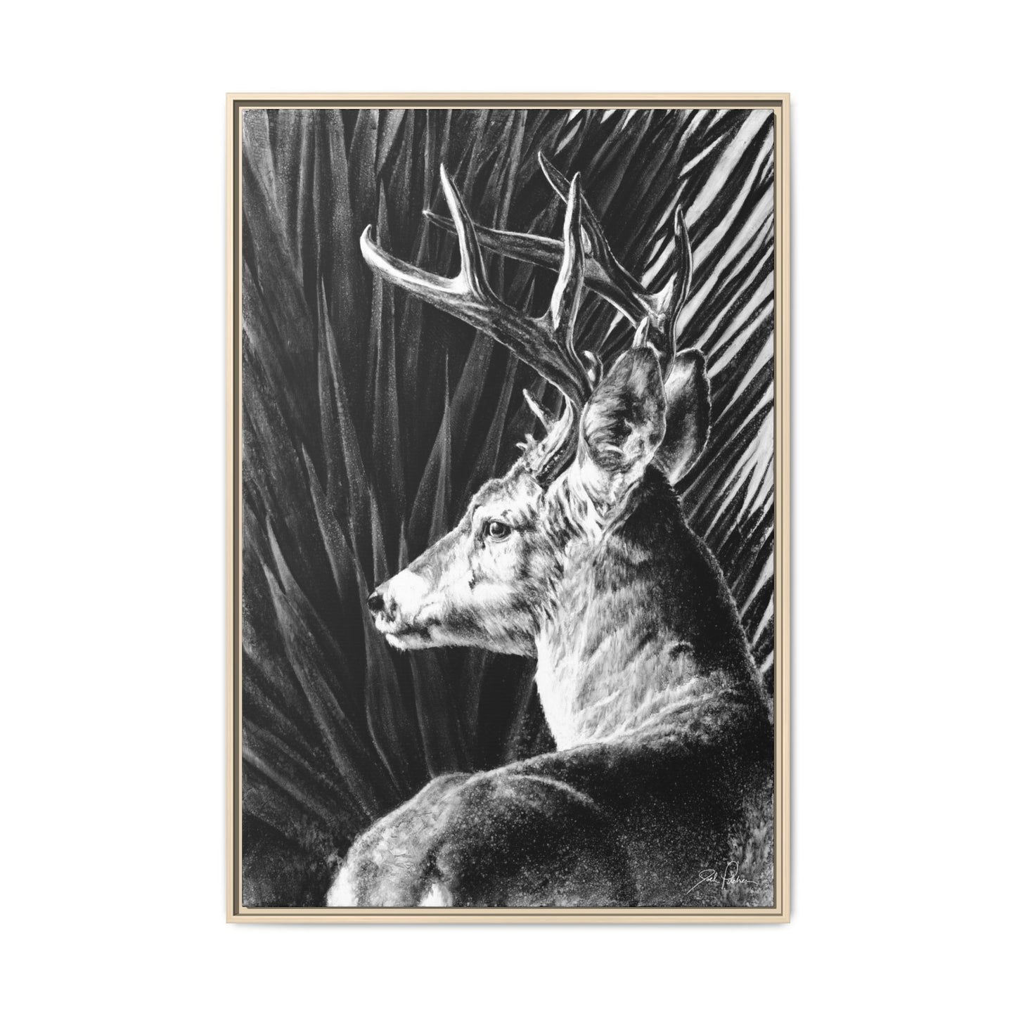 "Coues Buck" Framed Canvas