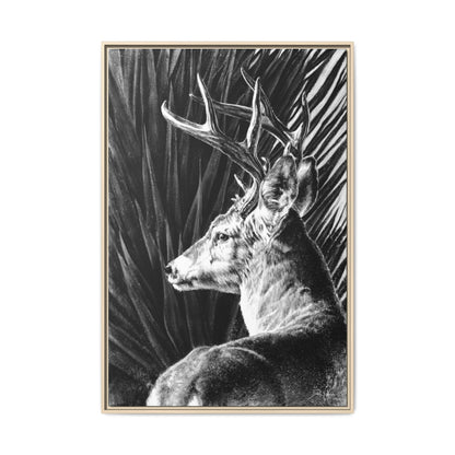 "Coues Buck" Framed Canvas