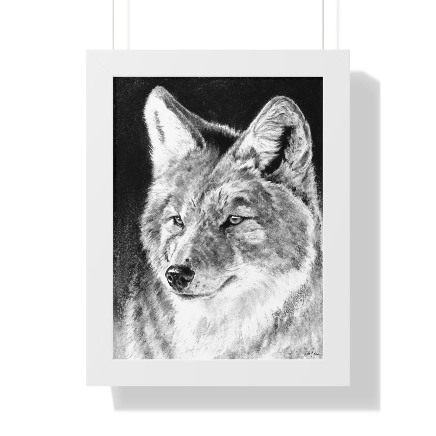 "Coyote II" Framed Paper Print.