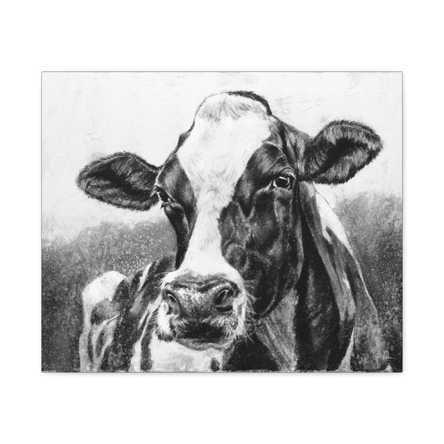 "Holstein" Stretched Canvas