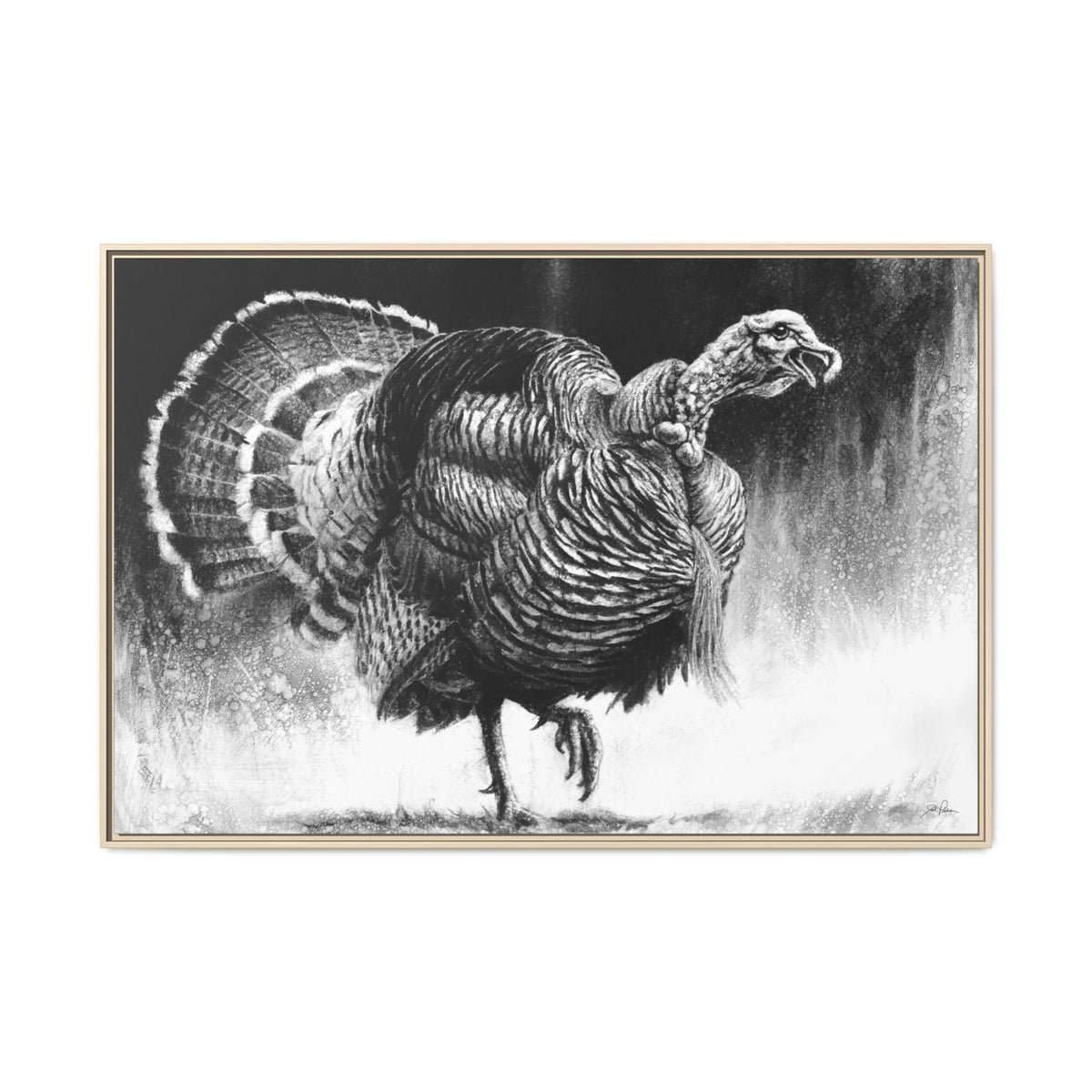 "Gobbler" Framed Canvas
