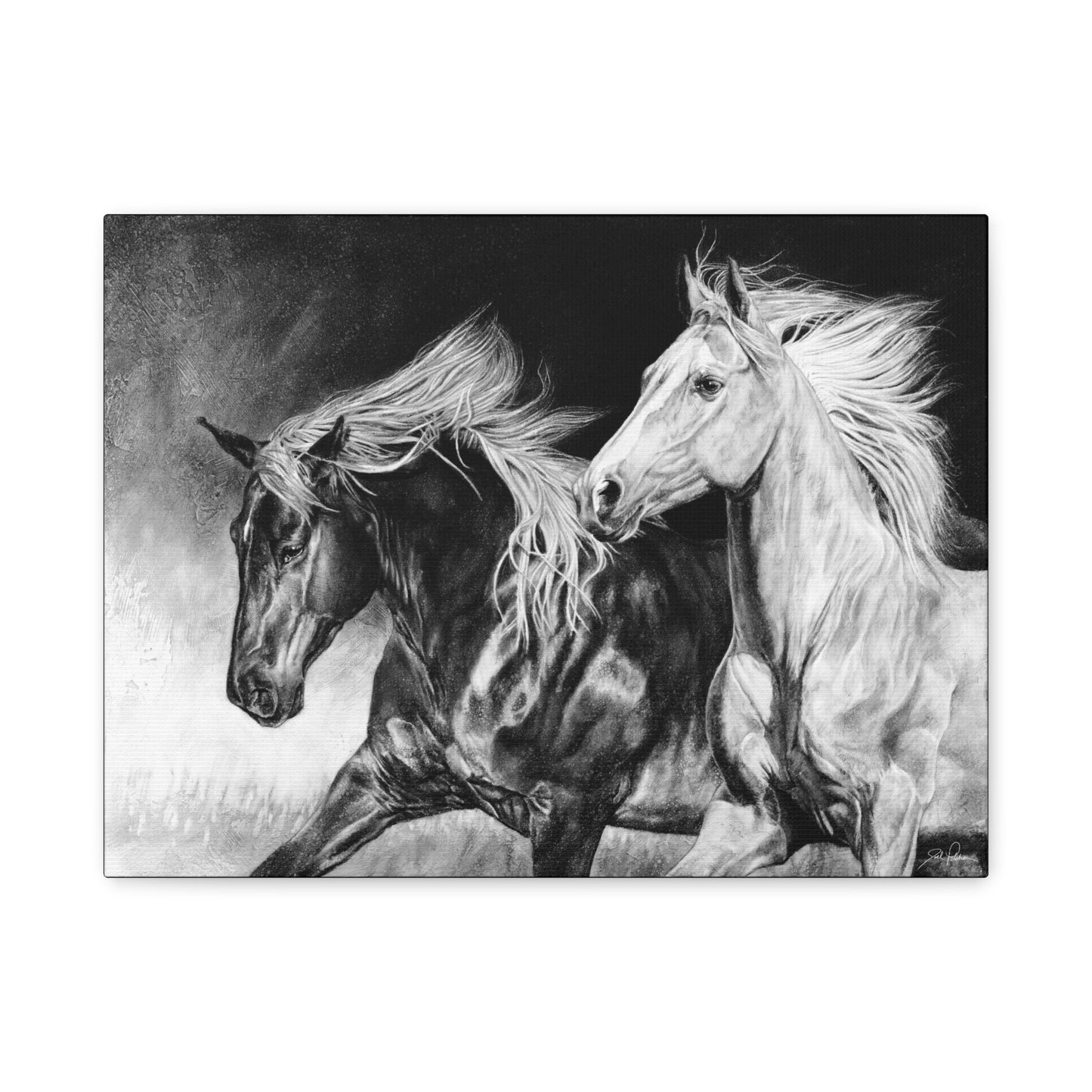 "Dynamic Duo" Stretched Canvas
