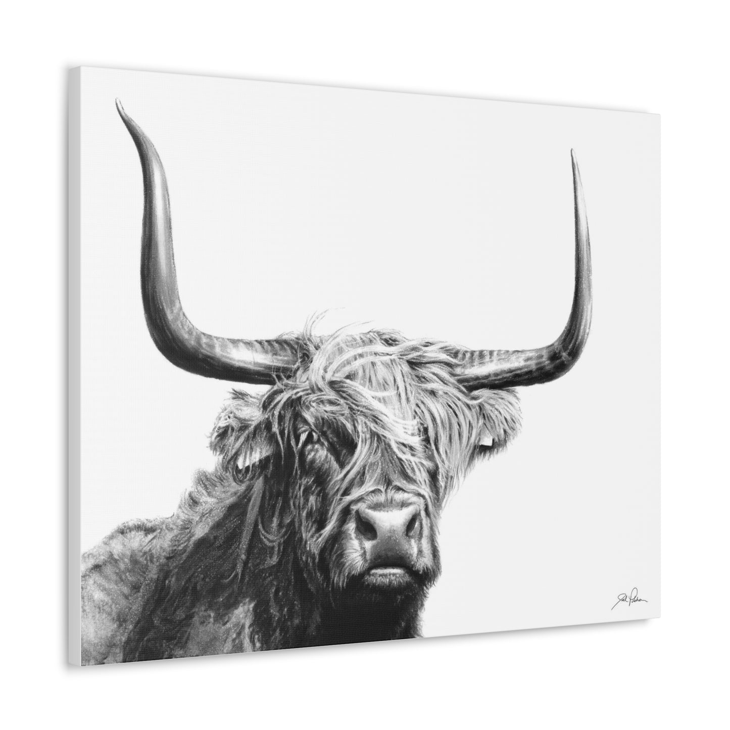 "Highlander" Gallery Wrapped Canvas