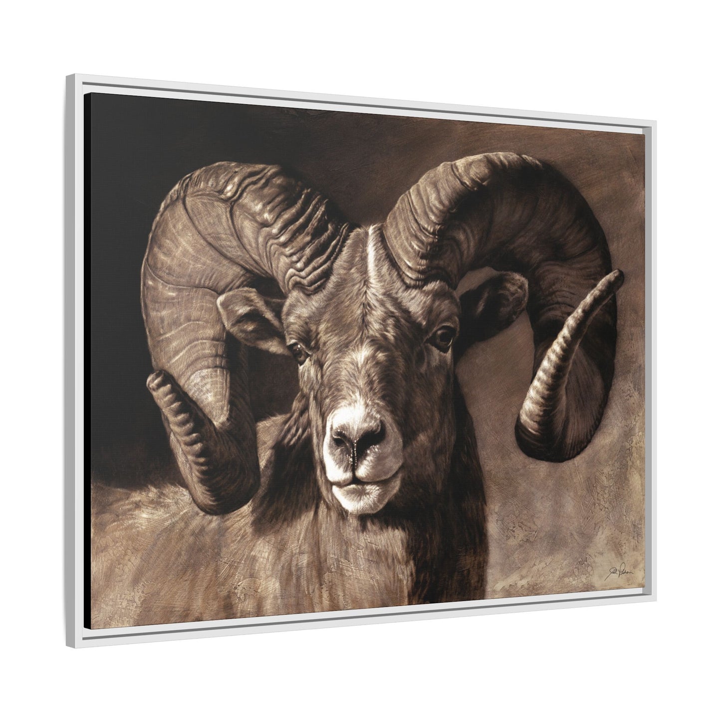 "Full Curl" Framed Canvas
