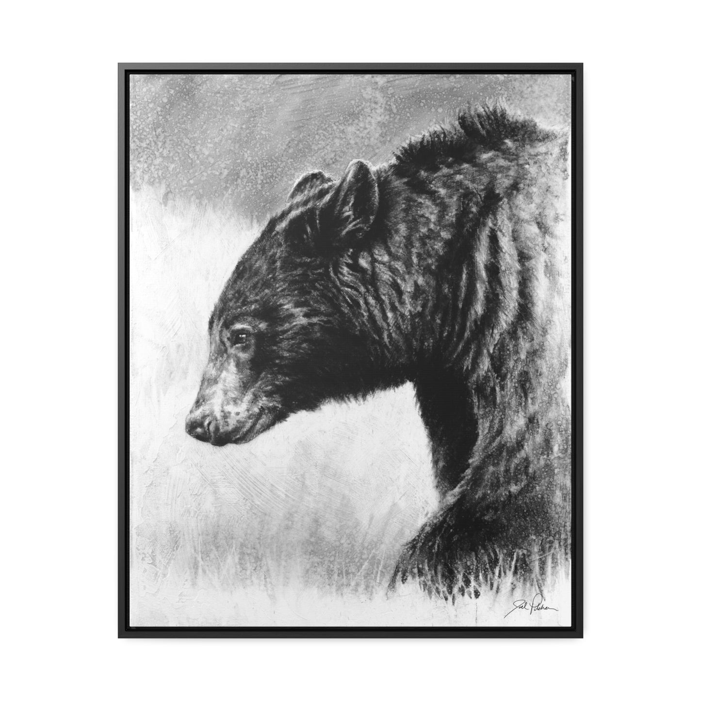 "Burly Bear" Gallery Wrapped/Framed Canvas