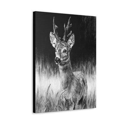 "Roe Deer" Gallery Wrapped Canvas