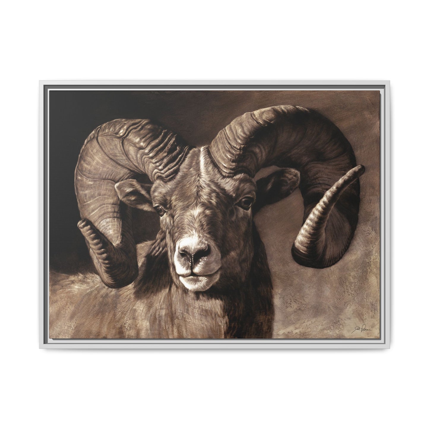 "Full Curl" Framed Canvas