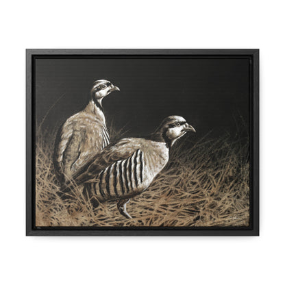 "Chukars" Gallery Wrapped/Framed Canvas