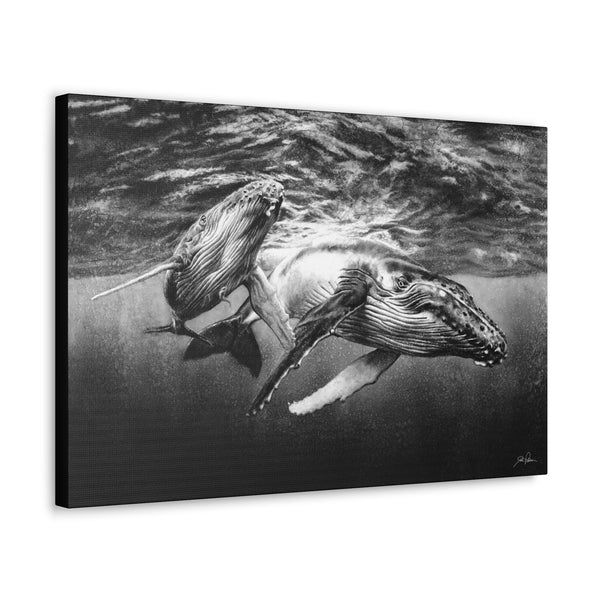 "Humpback Whales" Gallery Wrapped Canvas