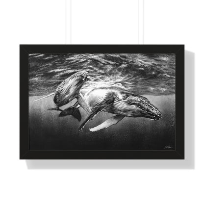 "Humpback Whales" Framed Paper Print