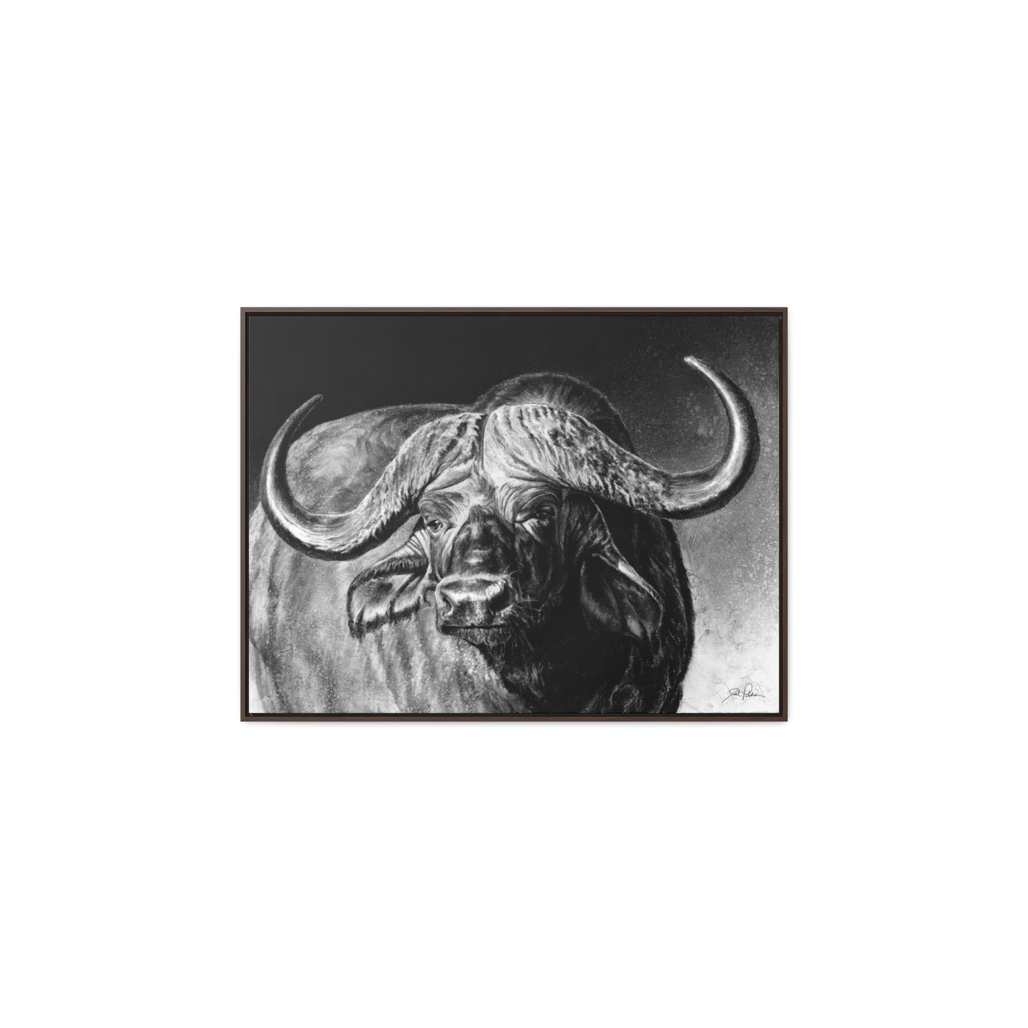 "Cape Buffalo" Gallery Wrapped/Framed Canvas