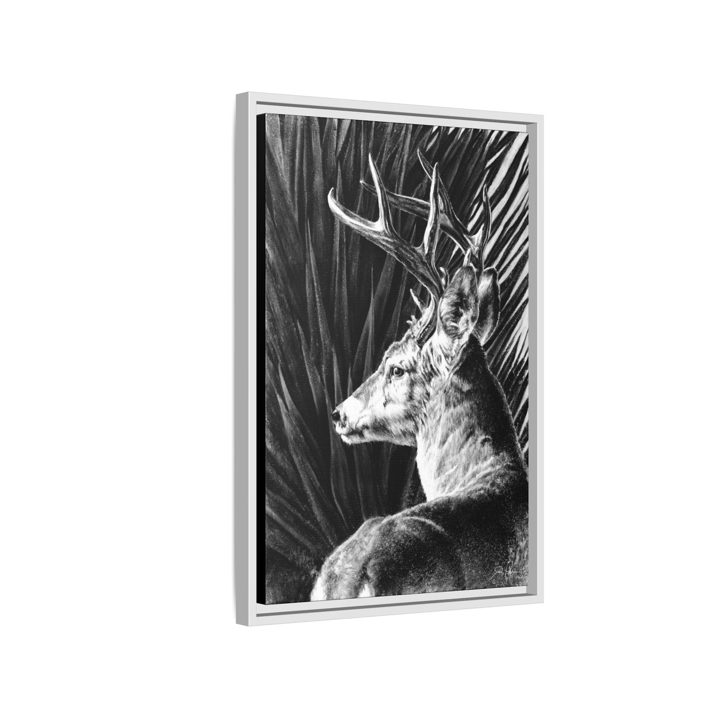 "Coues Buck" Framed Canvas