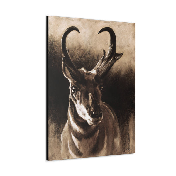 "Pronghorn" Gallery Wrapped Canvas.