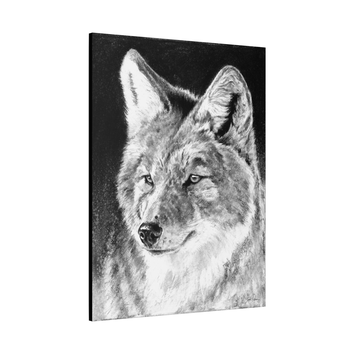 "Coyote II" Stretched Canvas