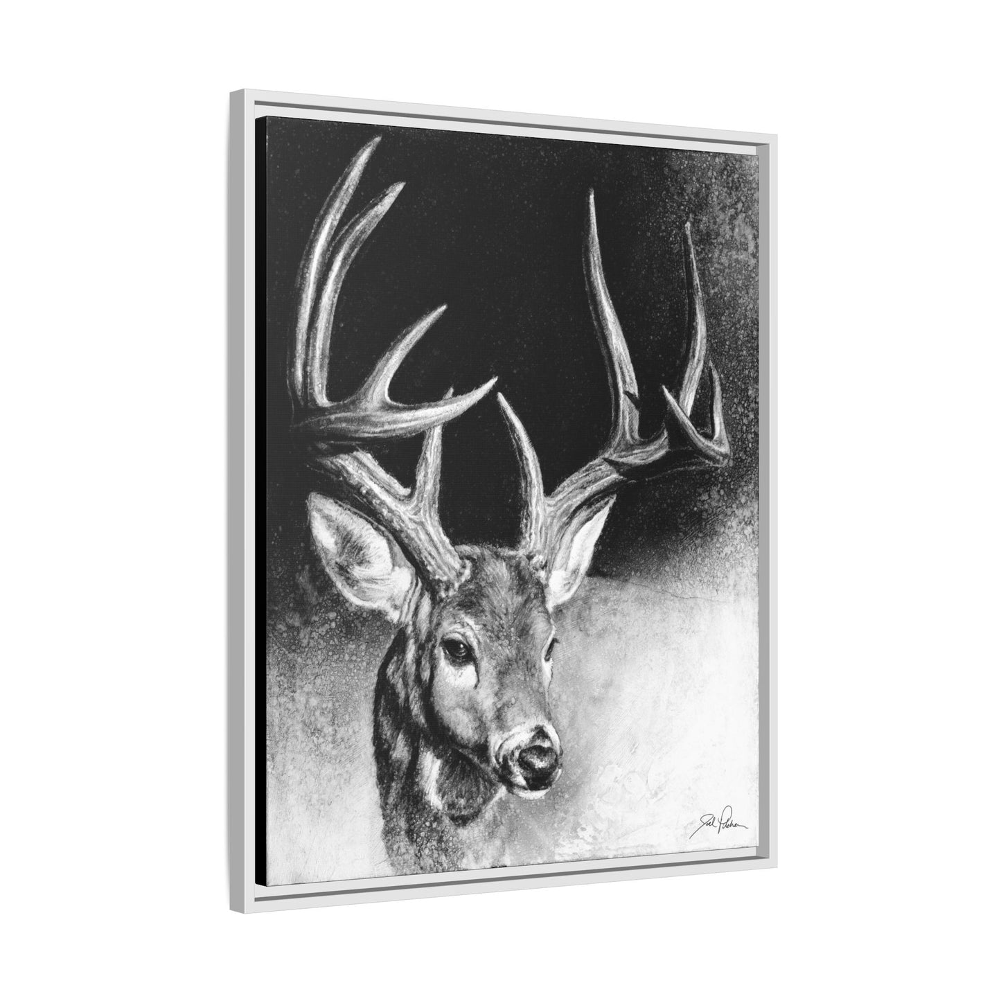 "Whitetail Buck" Framed Canvas