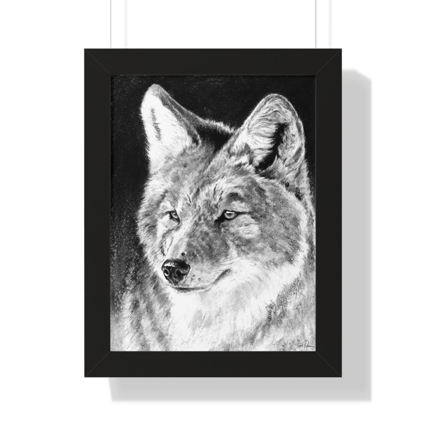 "Coyote II" Framed Paper Print.
