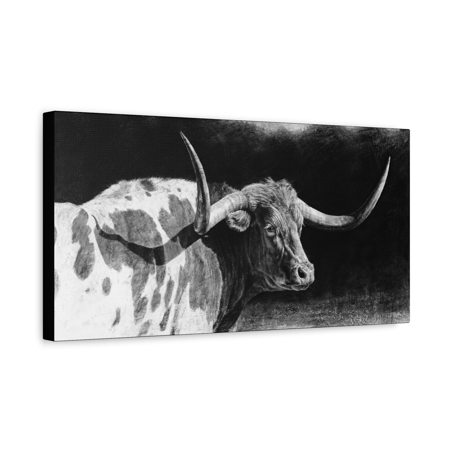 "Longhorn II" Stretched Canvas