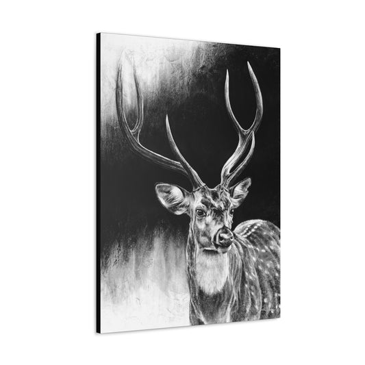 "Axis Buck" Gallery Wrapped Canvas