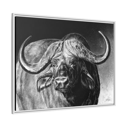 "Cape Buffalo" Framed Canvas