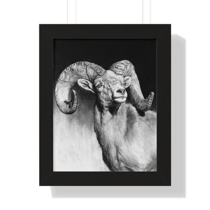 "Bighorn" Framed Paper Print