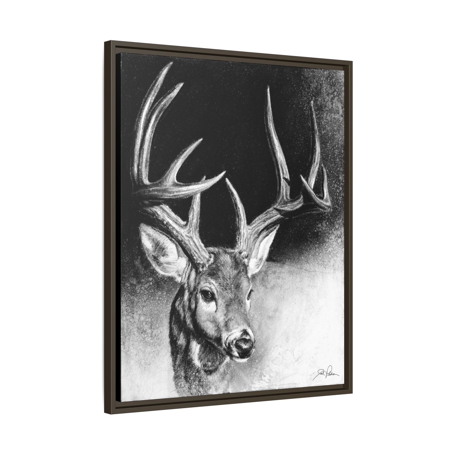 "Whitetail Buck" Framed Canvas