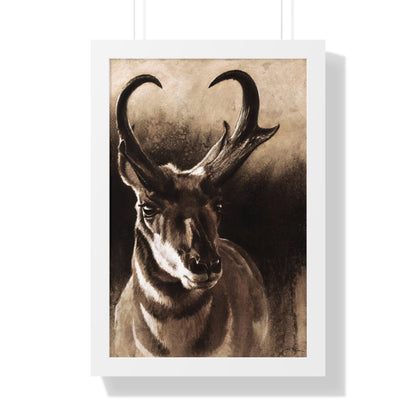 "Pronghorn" Framed Paper Print.