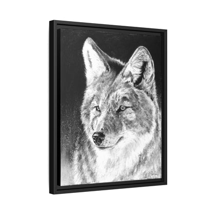 "Coyote II" Framed Canvas