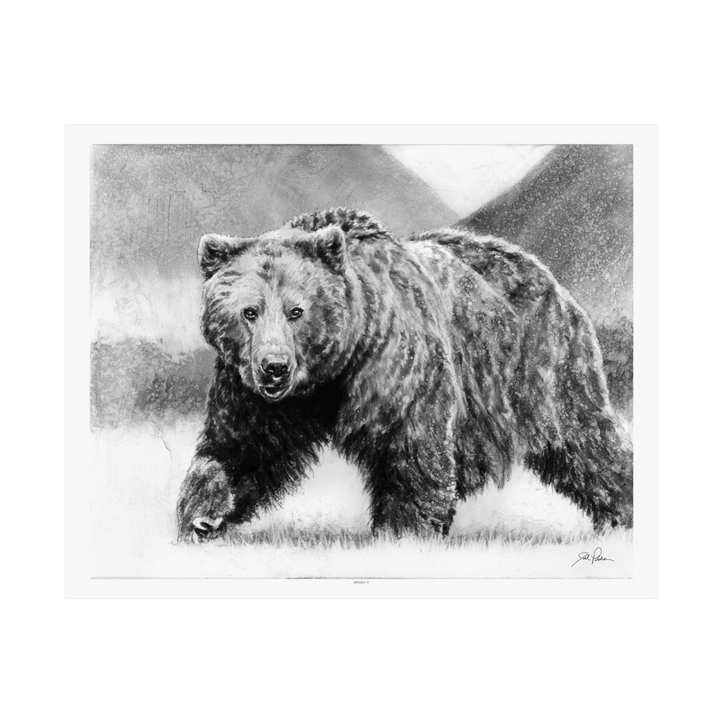 "Grizzly II" Premium Matte Paper Print