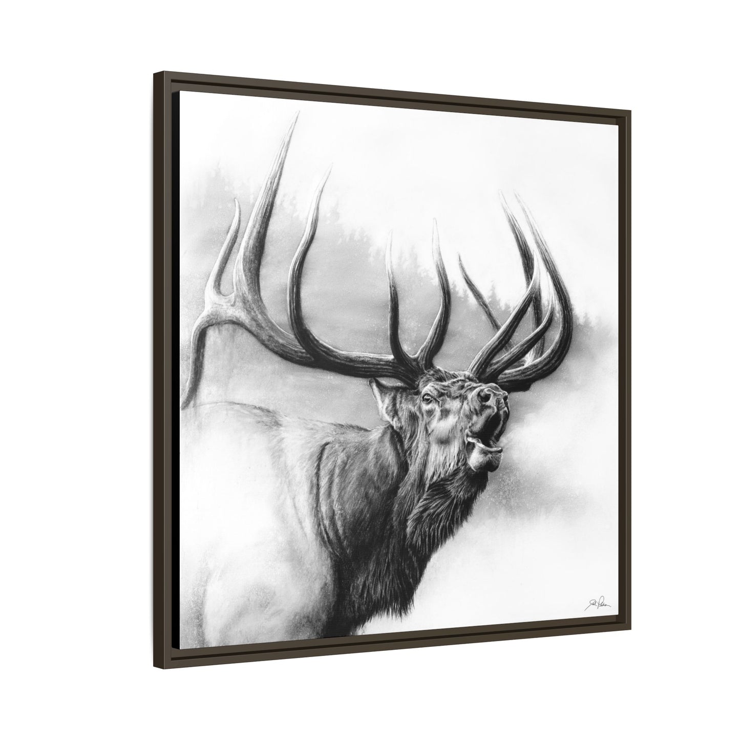 "Rocky Mountain King" Framed Canvas