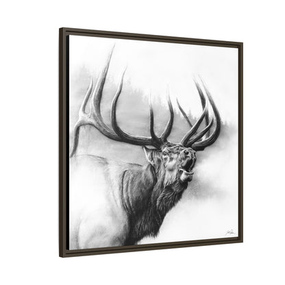 "Rocky Mountain King" Framed Canvas