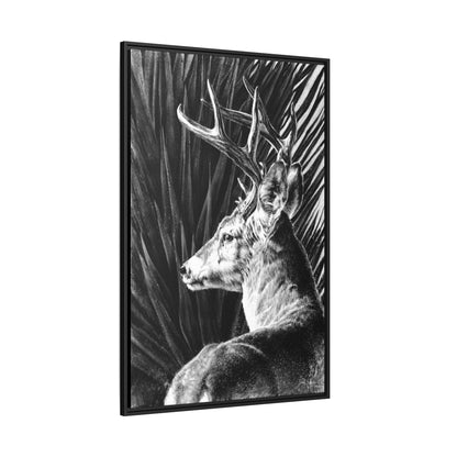 "Coues Buck" Framed Canvas