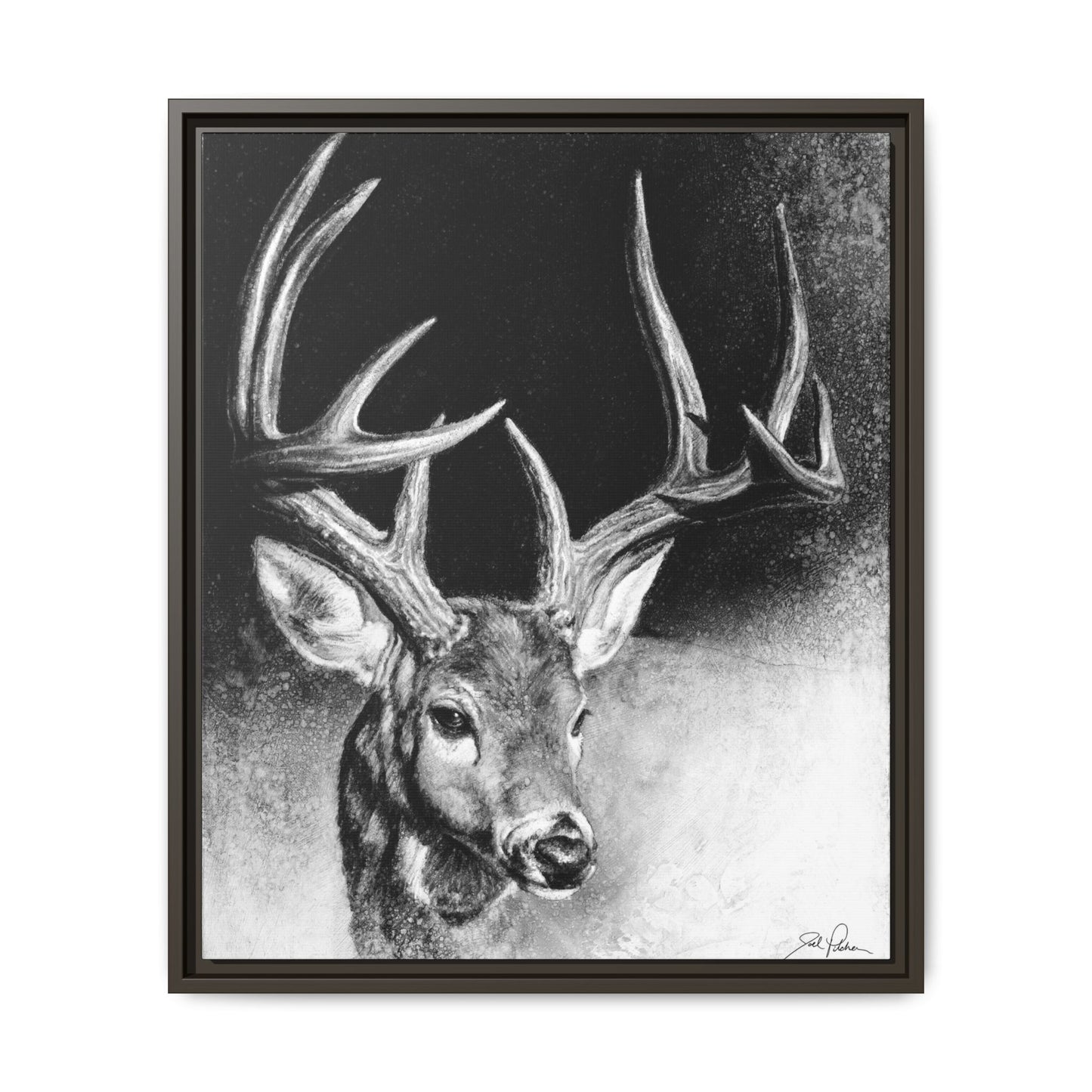 "Whitetail Buck" Framed Canvas