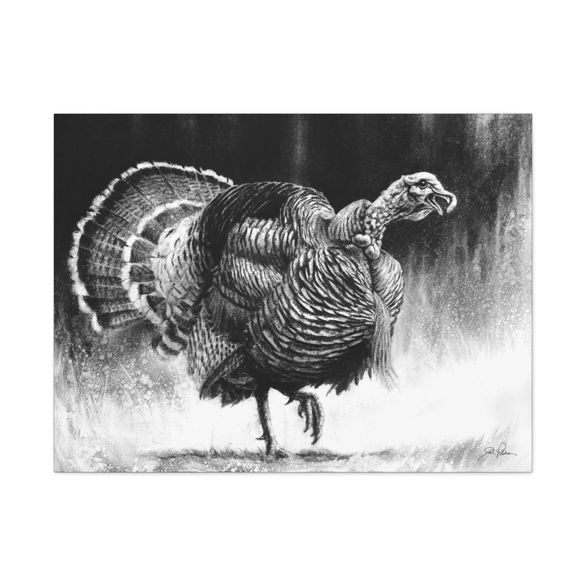 "Gobbler" Stretched Canvas