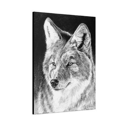 "Coyote II" Stretched Canvas