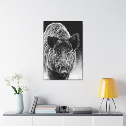 "Wild Boar" Gallery Wrapped Canvas