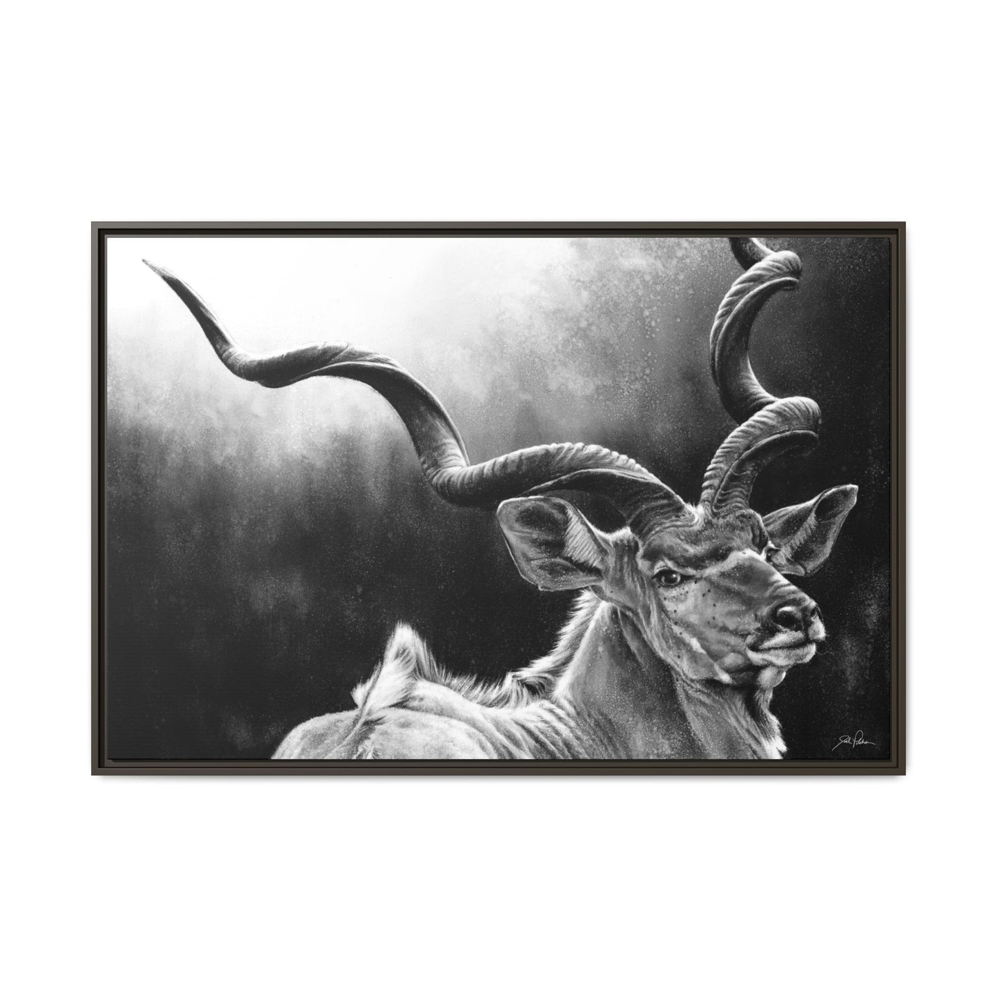 "Kudu" Framed Canvas