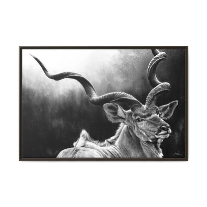 "Kudu" Framed Canvas