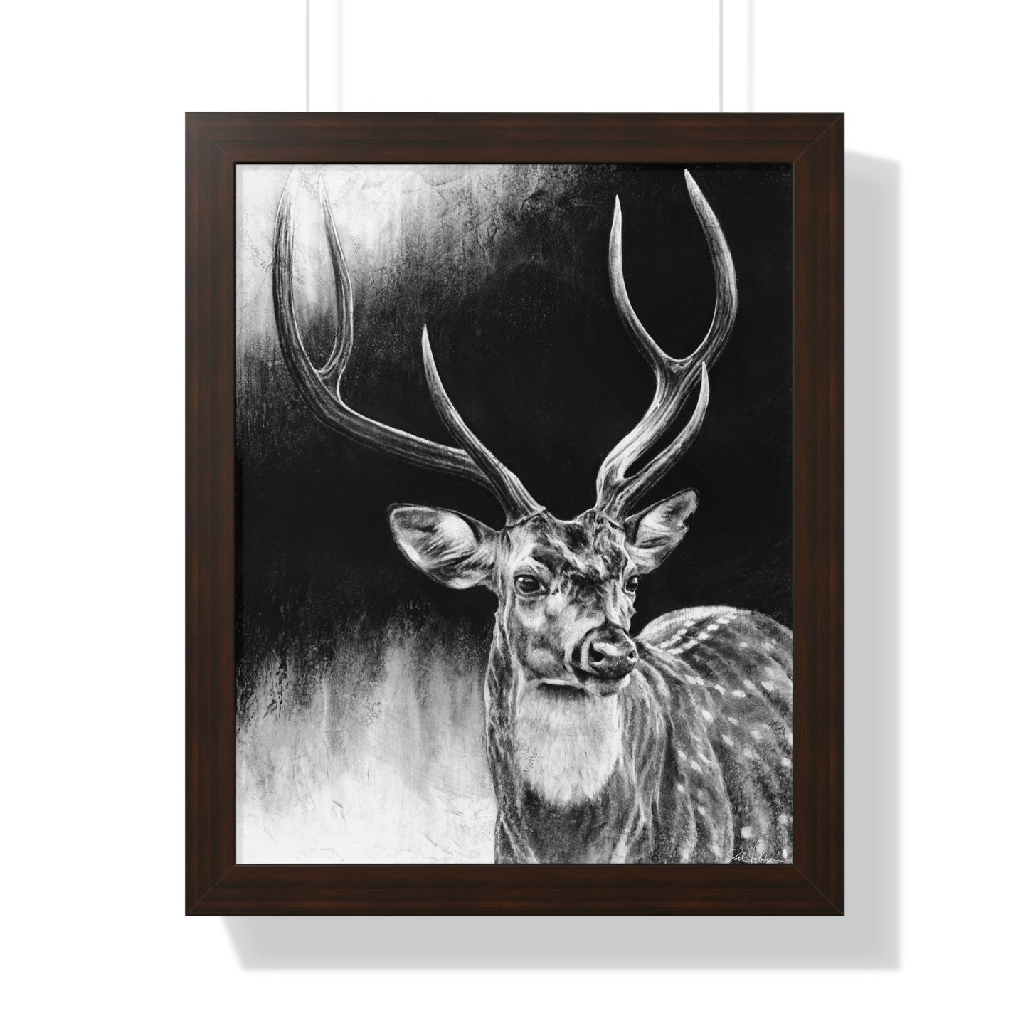 "Axis Buck" Framed Paper Print