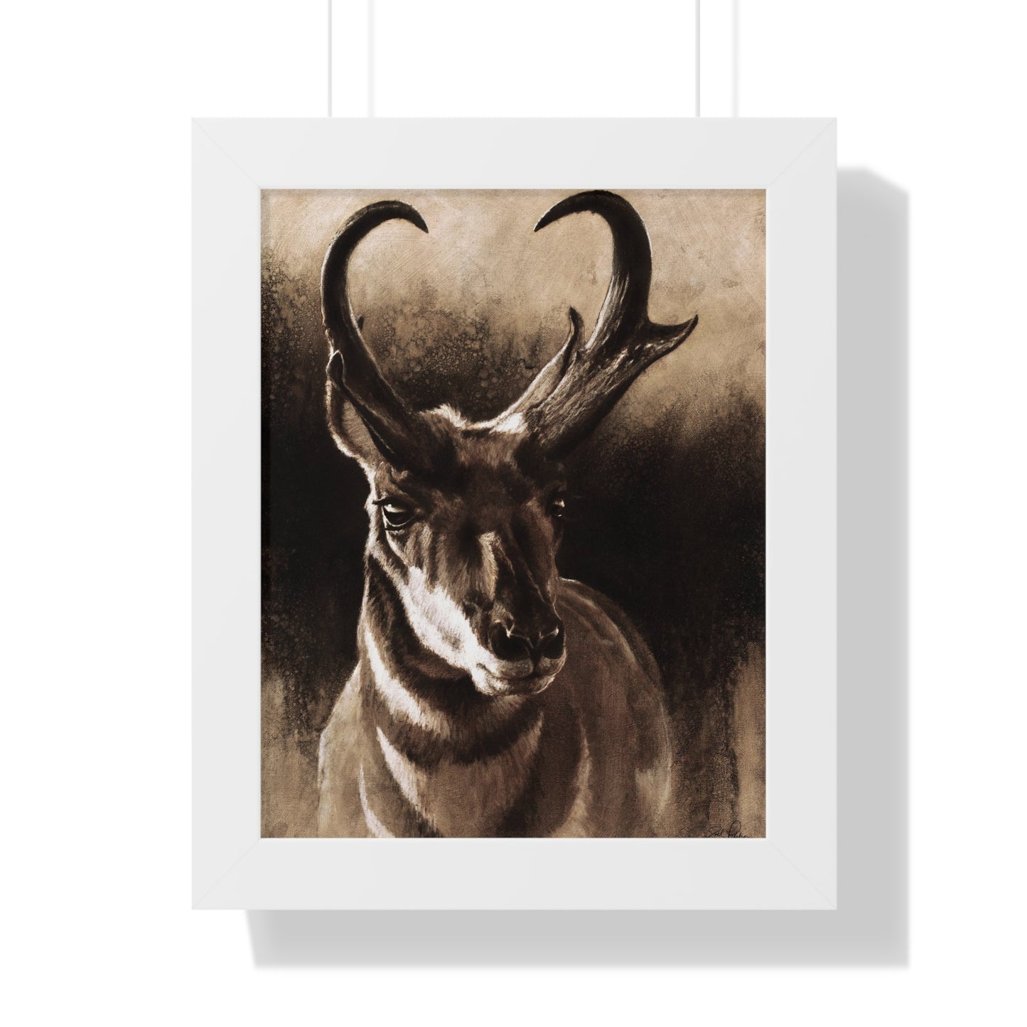 "Pronghorn" Framed Paper Print.