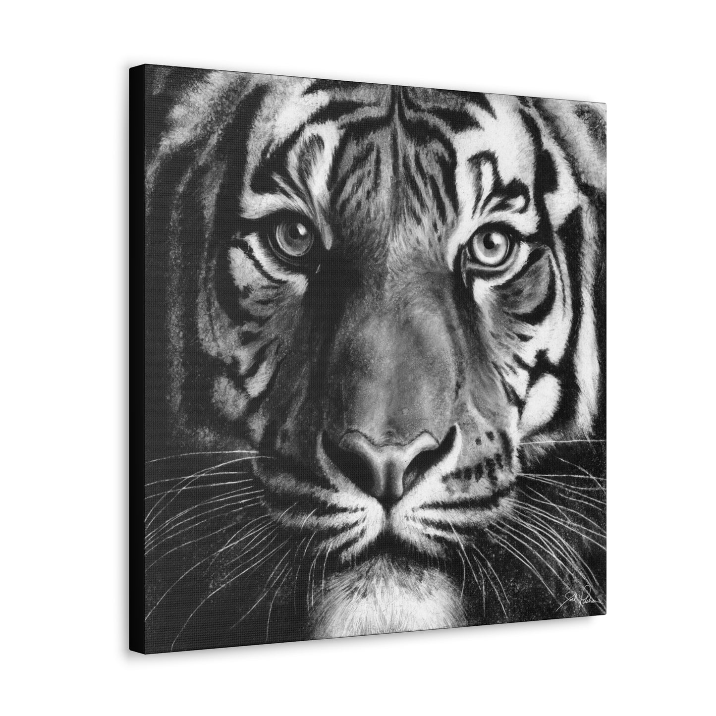 "Tiger" Gallery Wrapped Canvas