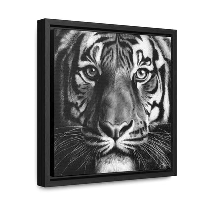 "Tiger" Gallery Wrapped/Framed Canvas