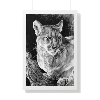 "Mountain Lion" Framed Paper Print