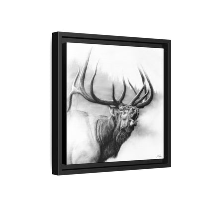 "Rocky Mountain King" Framed Canvas